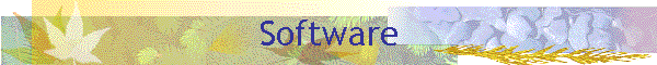 Software